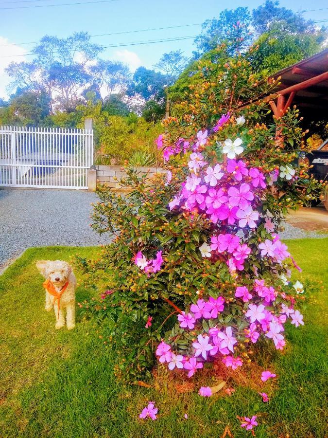 Le Petit Cherie บลูเมเนา ภายนอก รูปภาพ